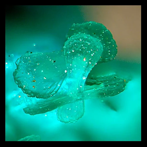 Bow-tie brochantite crystals