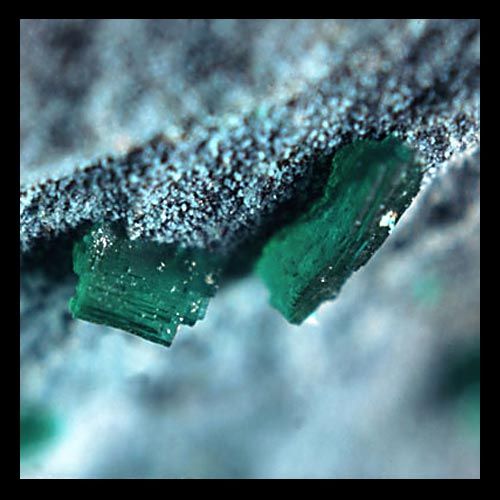 Bladed brochantite crystals