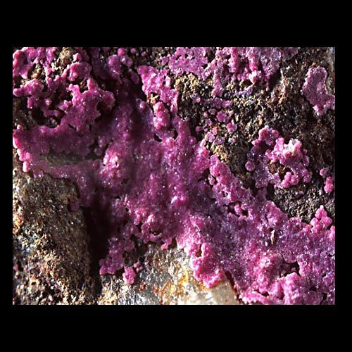Sparkling pink erythrite microcrystals