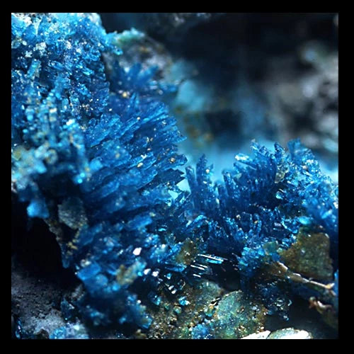 Langite crystals