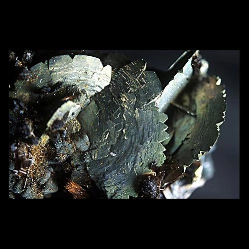 Cog-wheel marcasite crystals