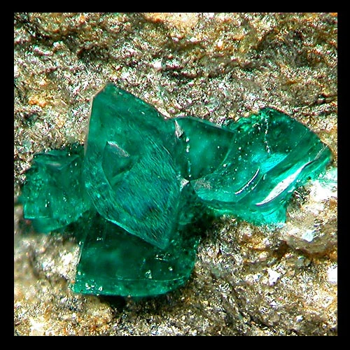 Ramsbeckite crystals