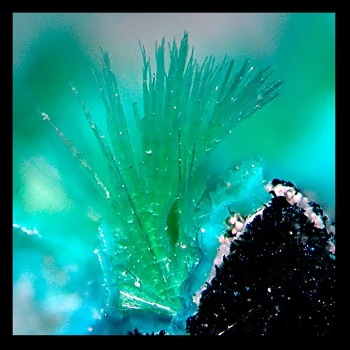 Delicate spray of redgillite crystals