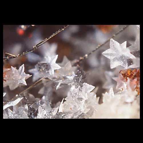 Unusual stellate twinned siderite crystals