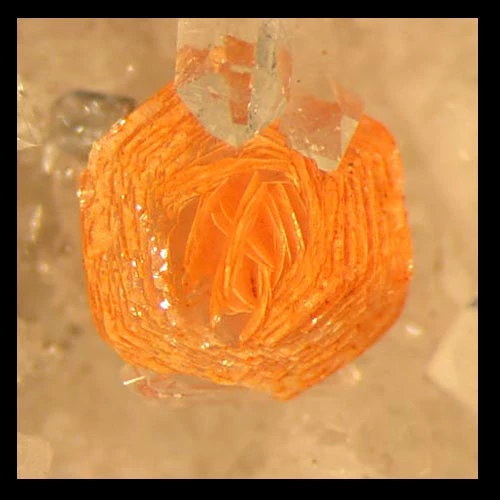 Partially altered synchysite rosette