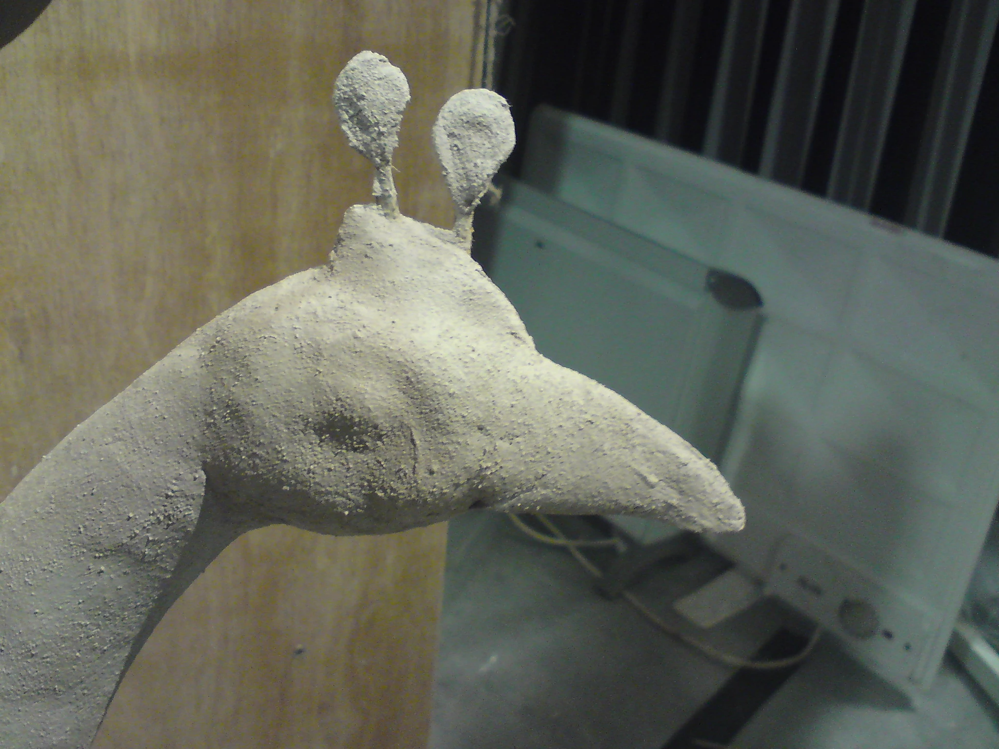 A close-up of the head of Kartikeya's peacock