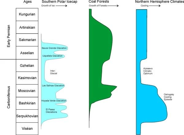 Coal Forests varied with time