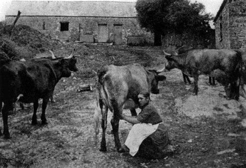 Felin Newydd, Ceredigion