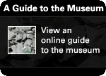 A guide to the Museum — view an online guide to the museum