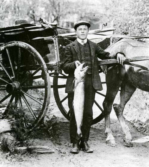 David Wilson, fishmonger's delivery boy photographed in 1905