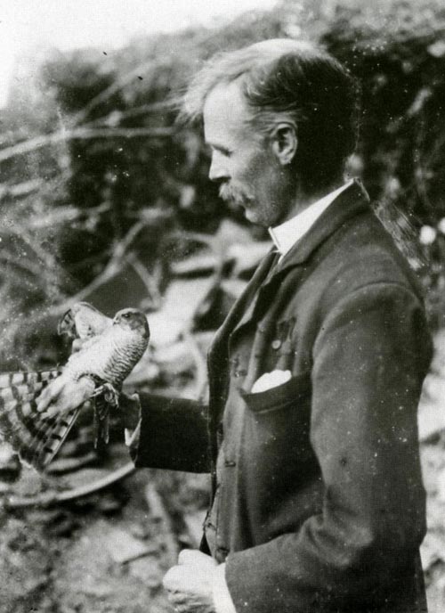 Tom Mathias holding a sparrow hawk