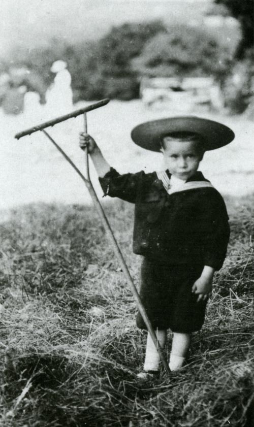 Boy holding a child's hay rake