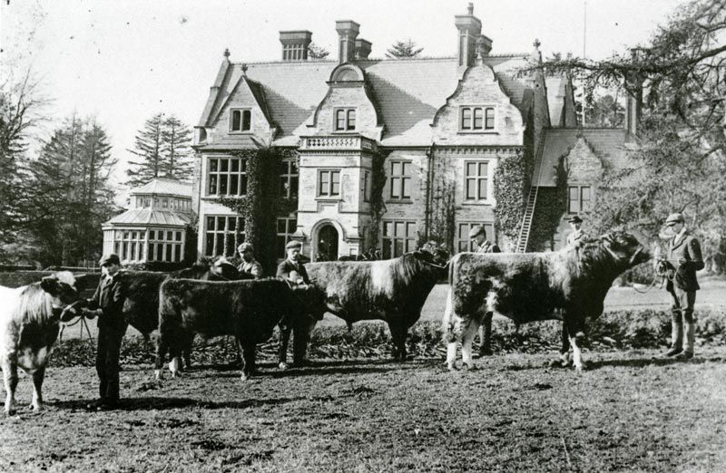 The Rhos-y-gilwen herd proudly displayed in front of the house.